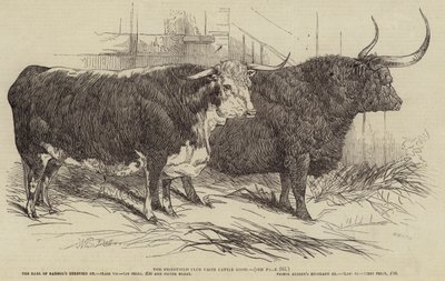 Exposición de ganado premiado del Club Smithfield de Harrison William Weir